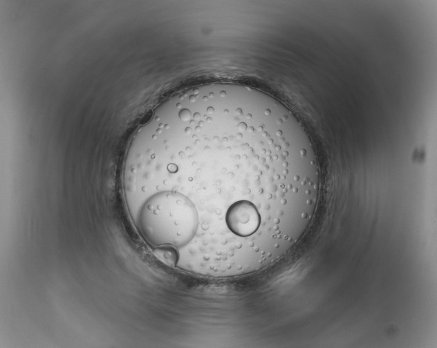 X0000112800639200908211004