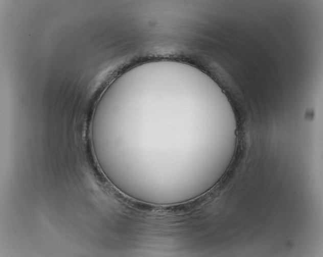 X0000112800640200908211004
