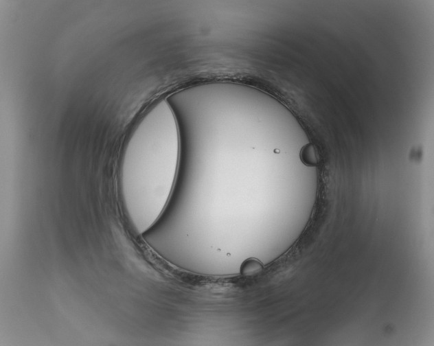 X0000112800642200908211004