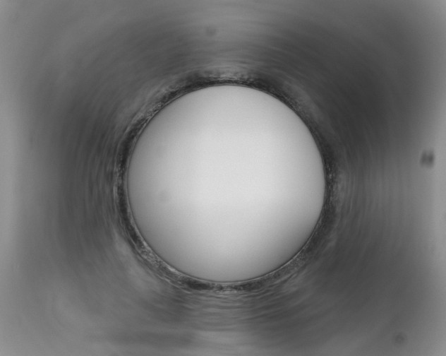 X0000112800643200908211004