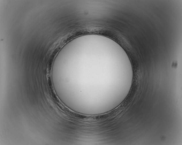 X0000112800644200908211004