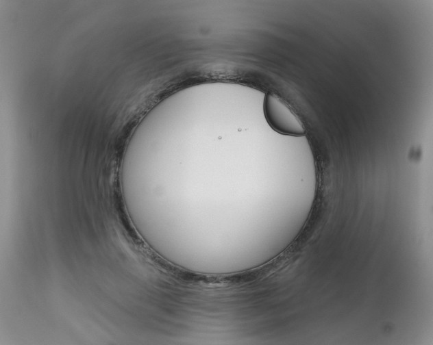 X0000112800645200908211004