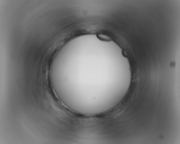 X0000112800646200908211004