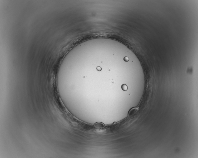 X0000112800647200908211004