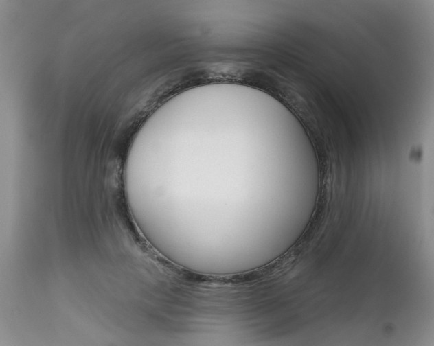 X0000112800649200908211004