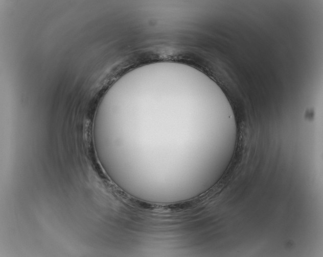 X0000112800650200908211004
