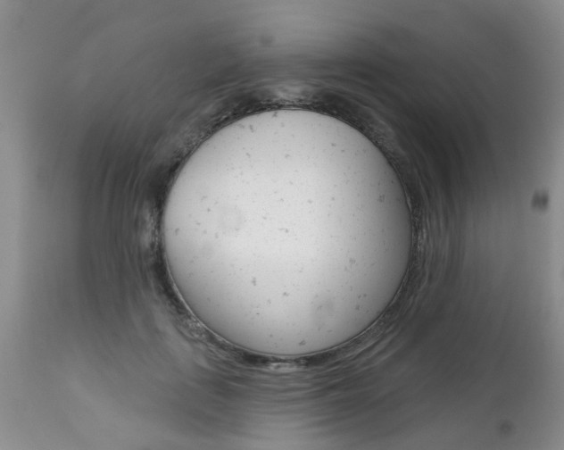 X0000112800651200908211004