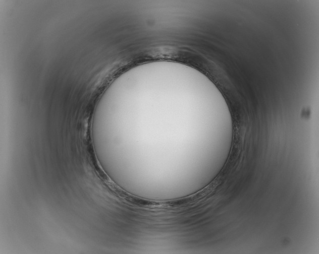 X0000112800652200908211004