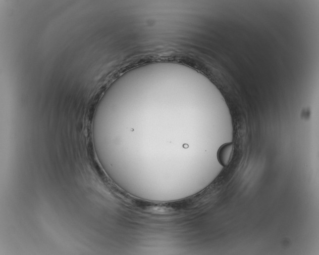 X0000112800654200908211004