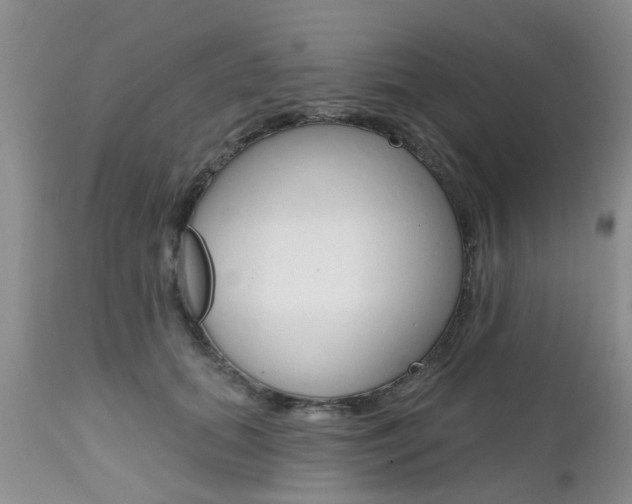 X0000112800655200908211004