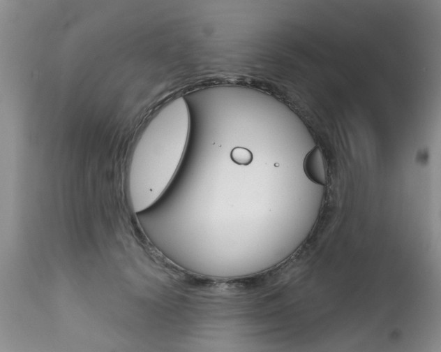 X0000112800656200908211004