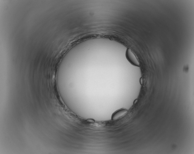 X0000112800660200908211004