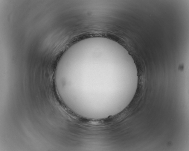 X0000112800662200908211004