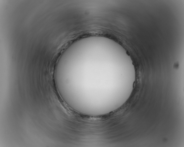 X0000112800664200908211004