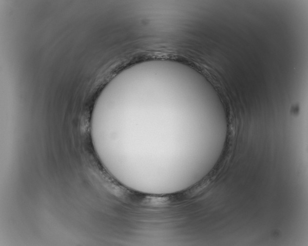 X0000112800665200908211004