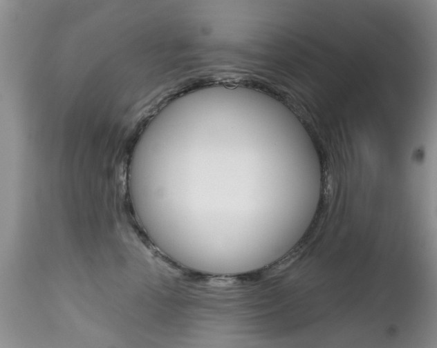 X0000112800666200908211004
