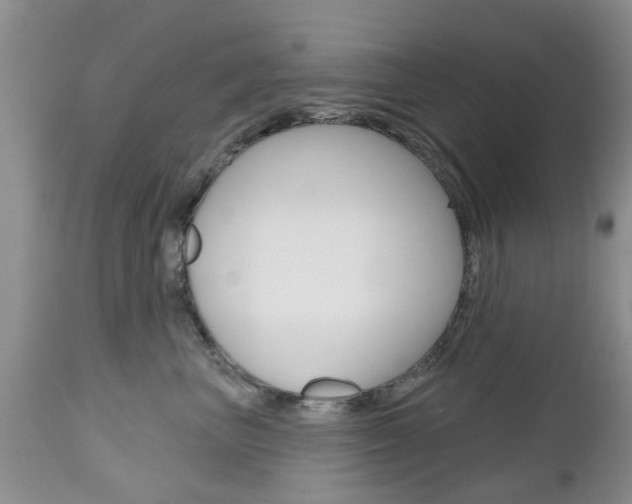 X0000112800667200908211004