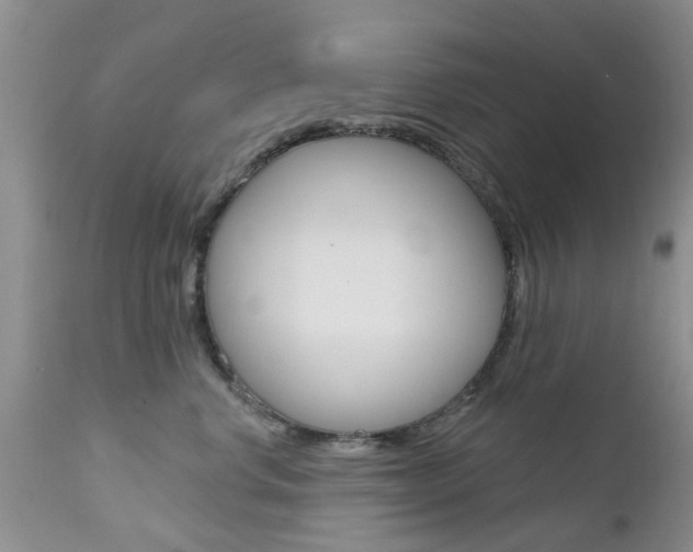 X0000112800668200908211004