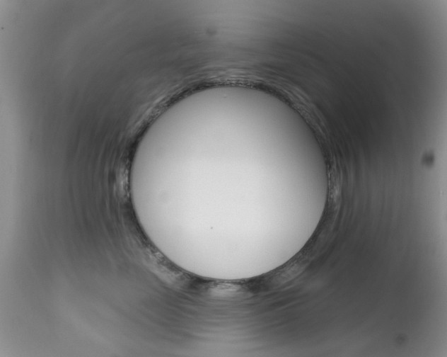 X0000112800669200908211004