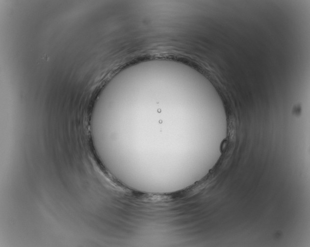 X0000112800670200908211004