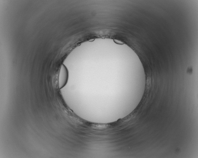 X0000112800671200908211004