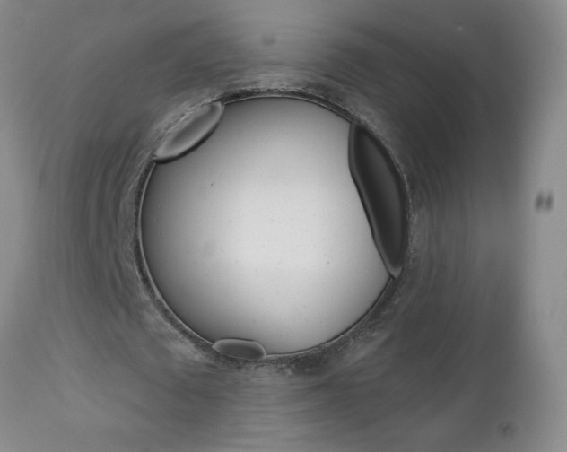 X0000112800673200908211003