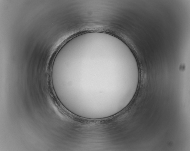 X0000112800674200908211003