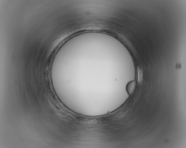 X0000112800675200908211003