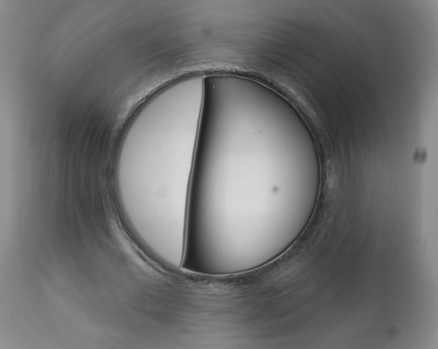 X0000112800677200908211003