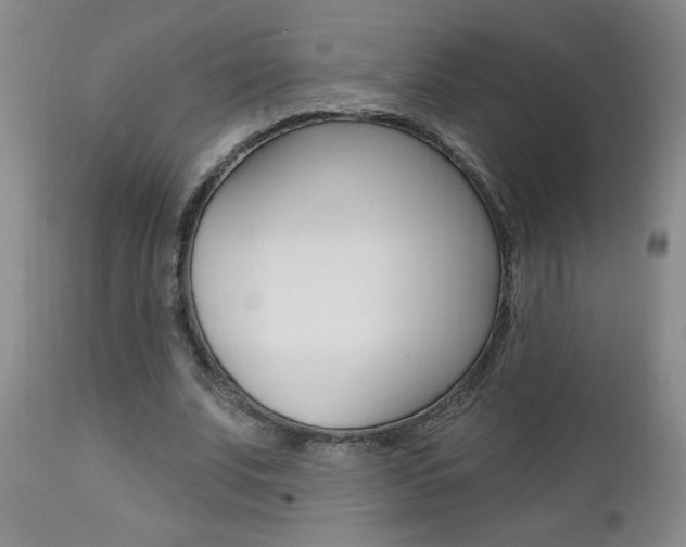 X0000112800679200908211003