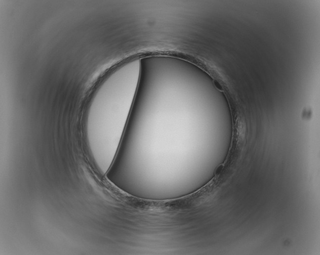 X0000112800684200908211003
