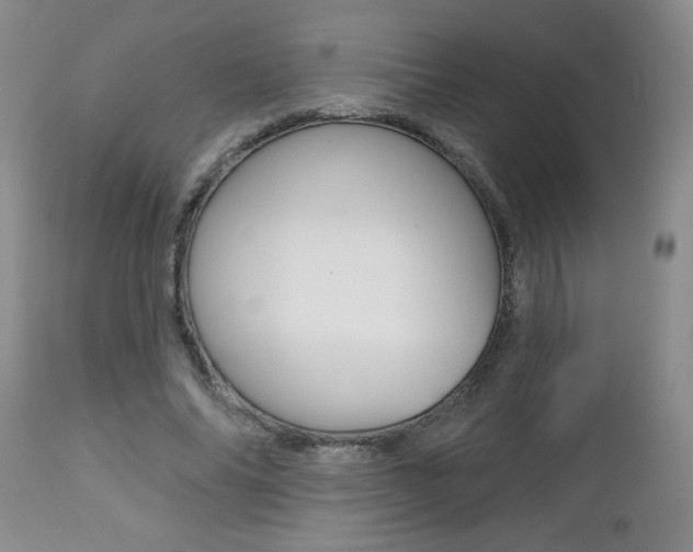 X0000112800686200908211003