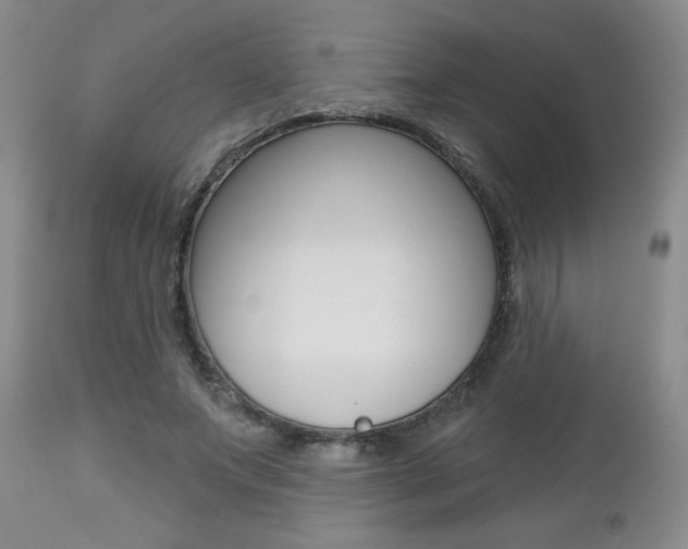 X0000112800687200908211003