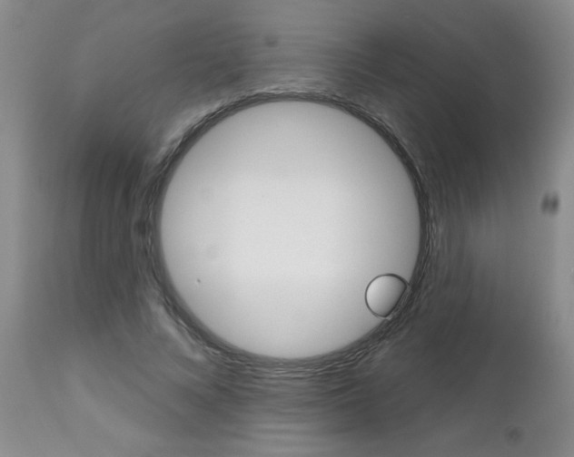 X0000112800688200908211003
