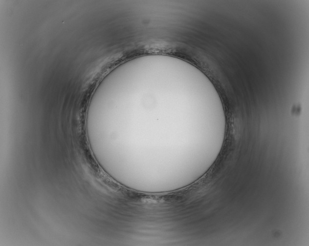 X0000112800690200908211003