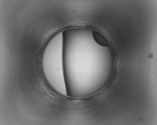X0000112800692200908211003