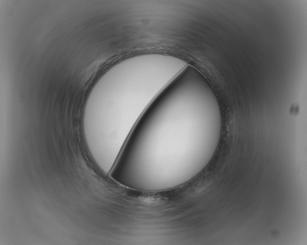 X0000112800693200908211003