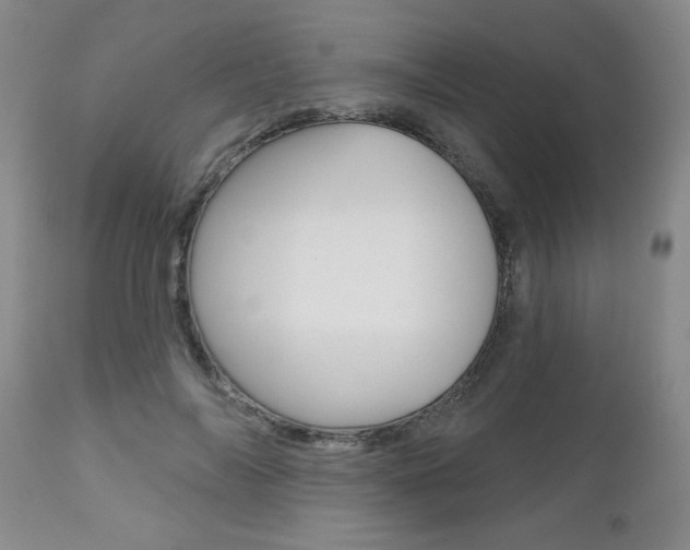 X0000112800694200908211003