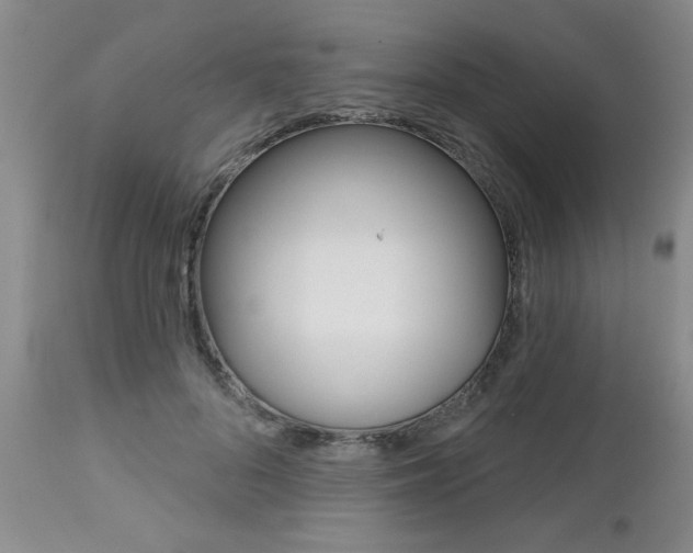 X0000112800696200908211003