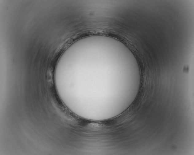 X0000112800699200908211003
