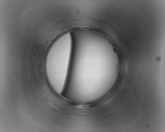 X0000112800700200908211003