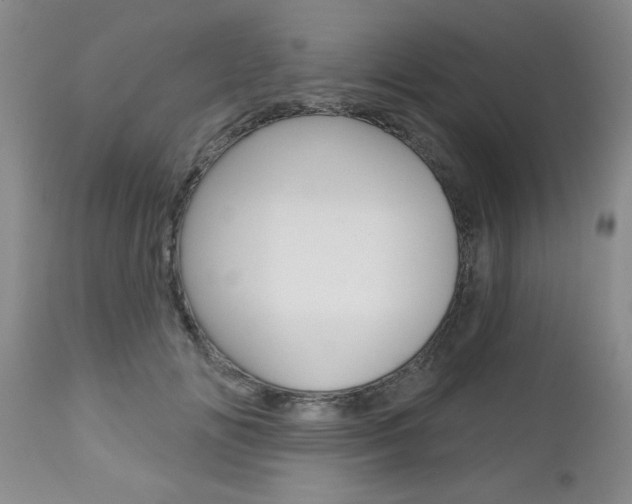 X0000112800702200908211003