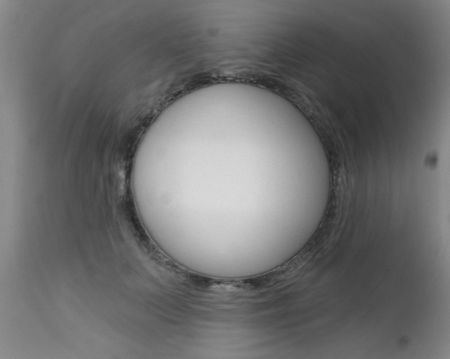X0000112800703200908211003