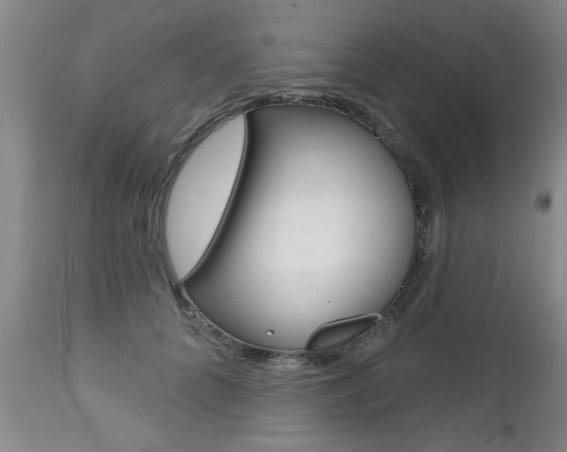 X0000112800704200908211003
