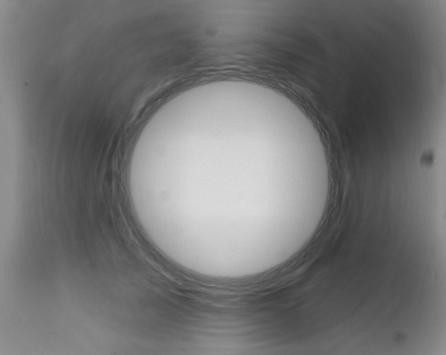 X0000112800705200908211003