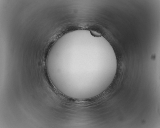 X0000112800707200908211003
