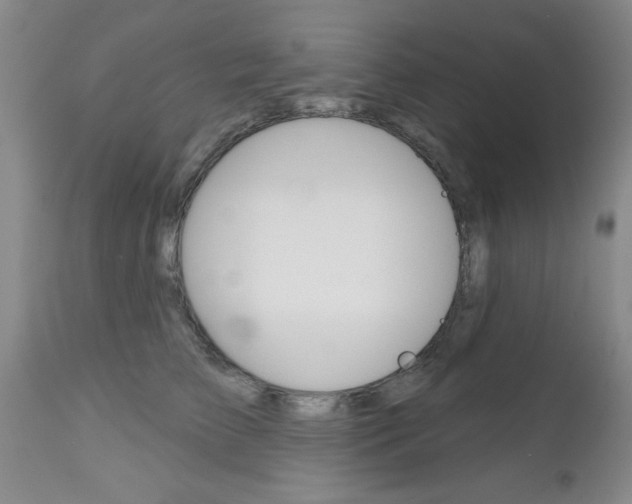 X0000112800709200908211003