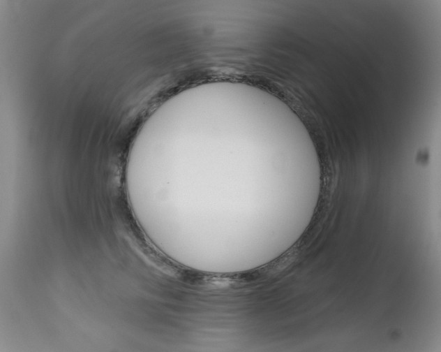 X0000112800710200908211003
