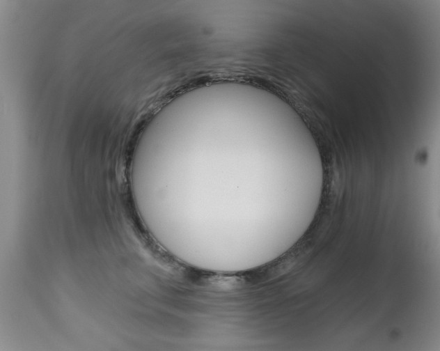 X0000112800711200908211003