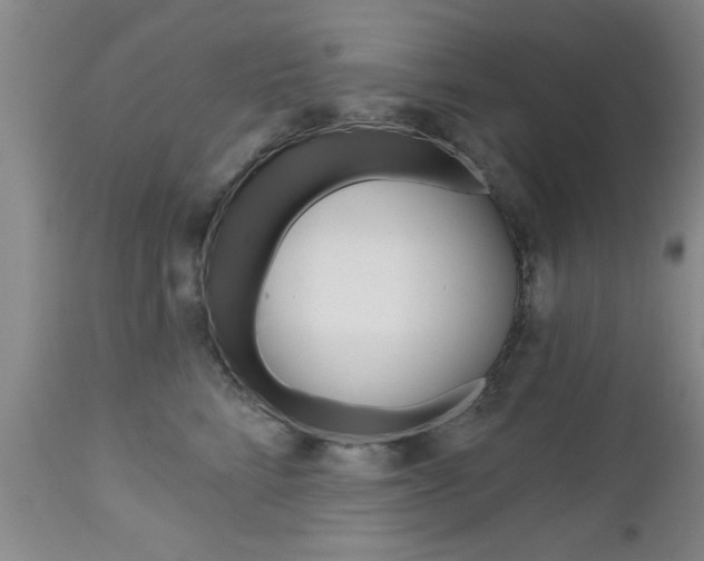 X0000112800712200908211003